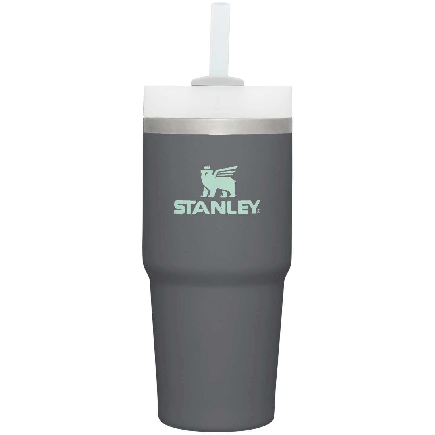 The Quencher H2.0 FlowState™ Tumbler | 20 OZ | 0.6 L - Image 52