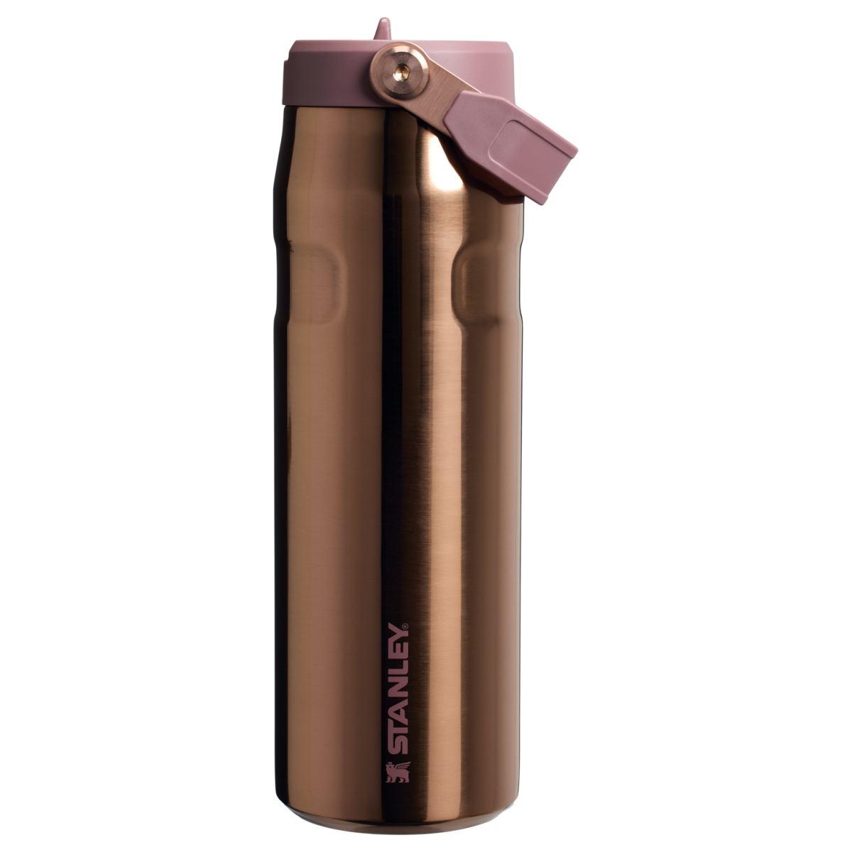 The IceFlow™ Bottle with Flip Straw Lid | 24 oz | 0.70 L